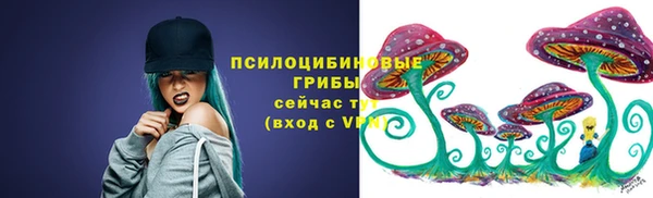 2c-b Богородицк