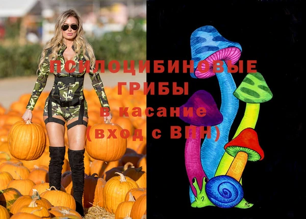 2c-b Богородицк