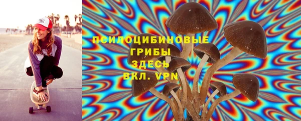 2c-b Богородицк