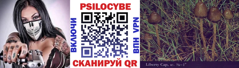 Псилоцибиновые грибы мицелий ОМГ ОМГ Кологрив